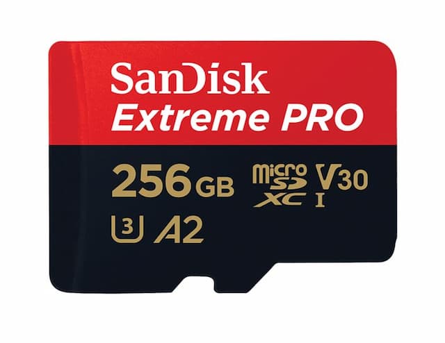 SDSQXCD-256G-GN6MA