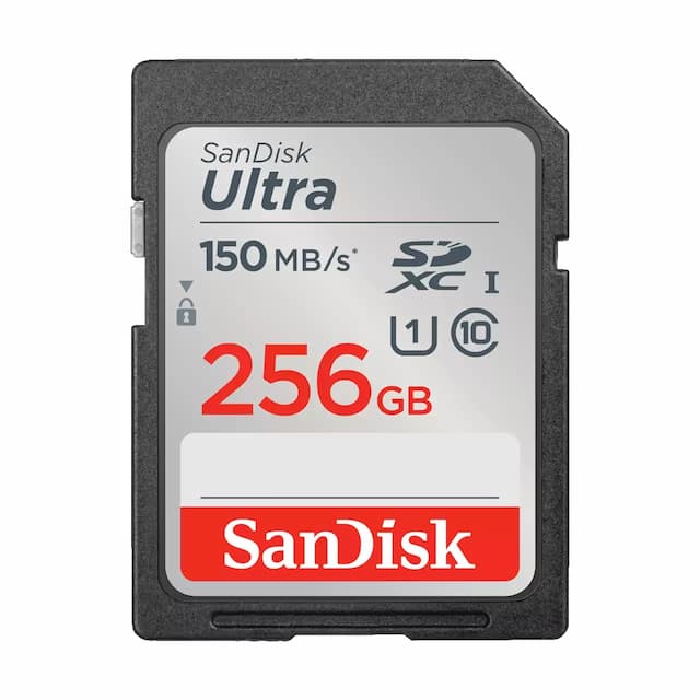 SDSDUNC-256G-GN6IN