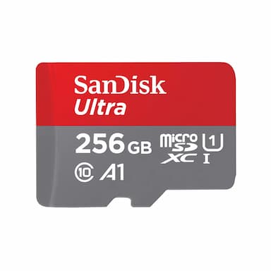 SDSQUAC-256G-GN6MN