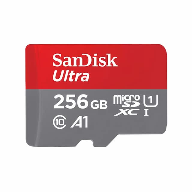 SDSQUAC-256G-GN6MN