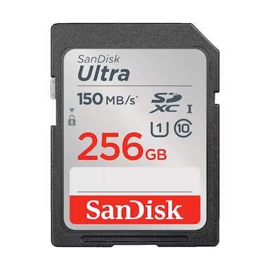 SDSDUNC-256G-GN6IN