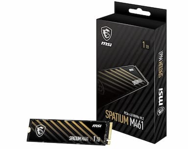 SPATIUM M461 1TB